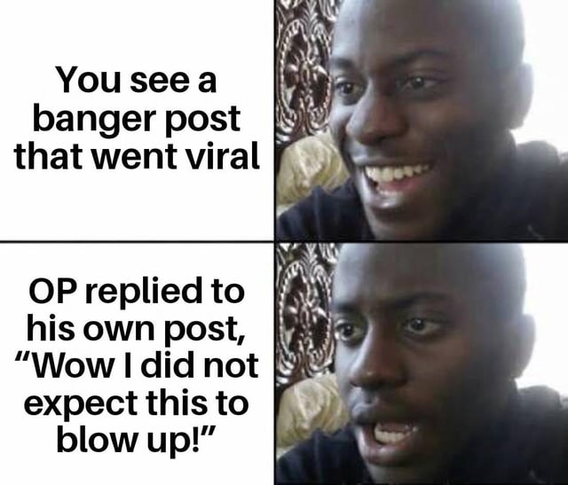 This is a two-panel reaction meme depicting a common frustrating social media experience. The top left panel has text reading "You see a banger post that went viral", paired with the right panel showing a Black man smiling happily to represent the viewer's positive reaction to finding a great popular post. The bottom left panel has text reading "OP replied to his own post, 'Wow I did not expect this to blow up!'", paired with the same man now looking shocked and disappointed, conveying that the generic overused comment from the original poster ruins the viewer's enjoyment of the viral post.