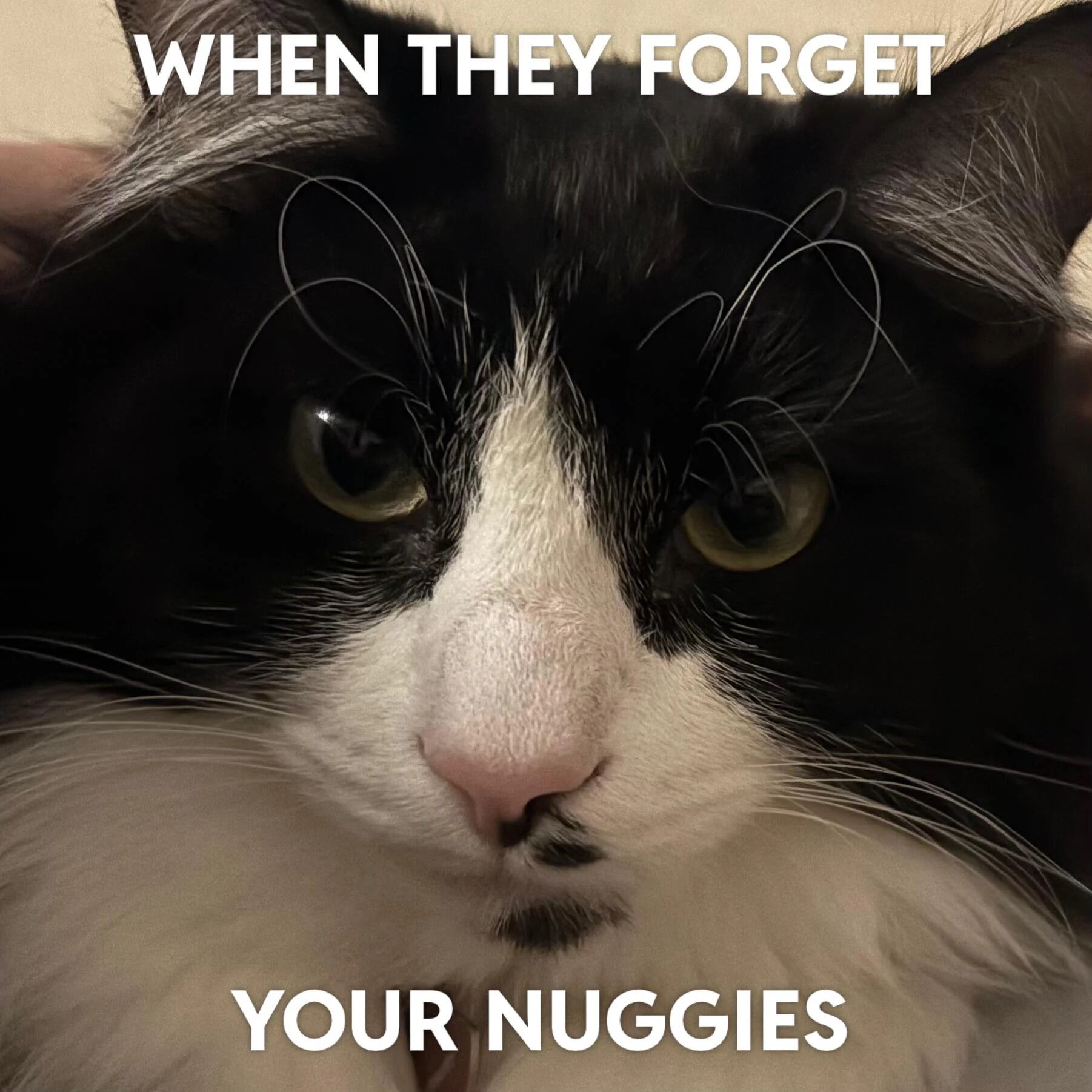 A close-up photograph of a black and white cat with a striking, intense expression. The cat has a white muzzle and chest, black fur on its head and back, and prominent green eyes that convey a sense of seriousness or judgment. Text overlays are positioned at the top and bottom of the image: 'WHEN THEY FORGET' at the top and 'YOUR NUGGIES' at the bottom. This creates a humorous scenario where the cat's stern demeanor is framed as a reaction to someone forgetting the viewer's nuggets (a casual term for chicken nuggets), blending the cat's natural serious look with a relatable, lighthearted frustration over forgotten food.