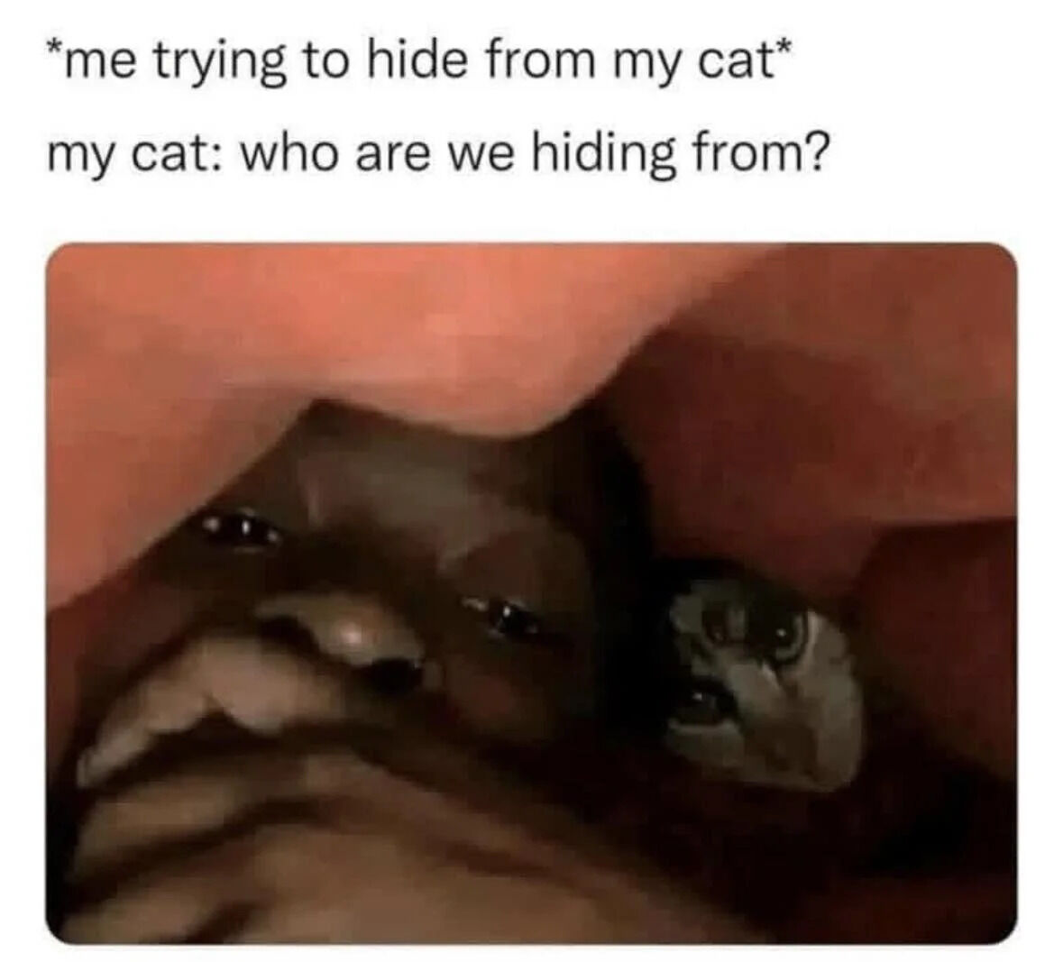 A wholesome meme featuring a relatable and humorous scenario between a pet owner and their cat. The top text sets up the premise: '*me trying to hide from my cat* my cat: who are we hiding from?' Below the text is a photograph showing a close-up of a person's face and a cat's face peeking out from a dark, enclosed space (likely under furniture). Both have curious expressions, with the person and cat appearing to share the hiding spot, emphasizing the playful bond between pets and their owners.