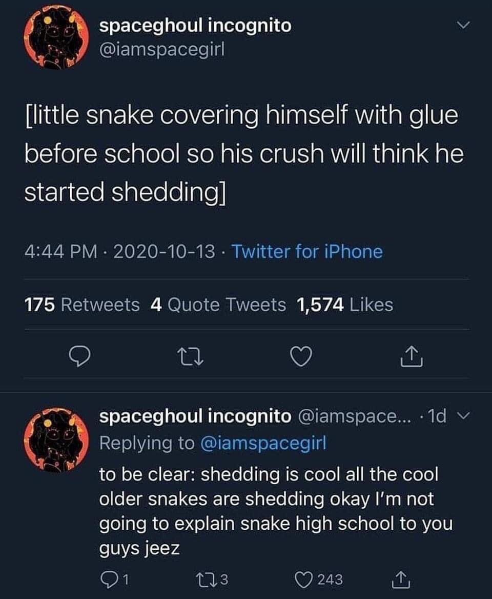 This image is a screenshot of a two-part Twitter (now X) thread from user @iamspacegirl. The first tweet describes an absurd hypothetical scenario: a young snake covers himself in glue before attending school, in order to trick his crush into believing he is shedding, implying shedding is a desirable, cool trait in snake society. The follow-up reply to the original tweet doubles down on the joke, clarifying that shedding is considered cool among older snakes, and humorously refuses to explain the concept of a snake high school to readers, leaning into the silly, whimsical worldbuilding of the bit.