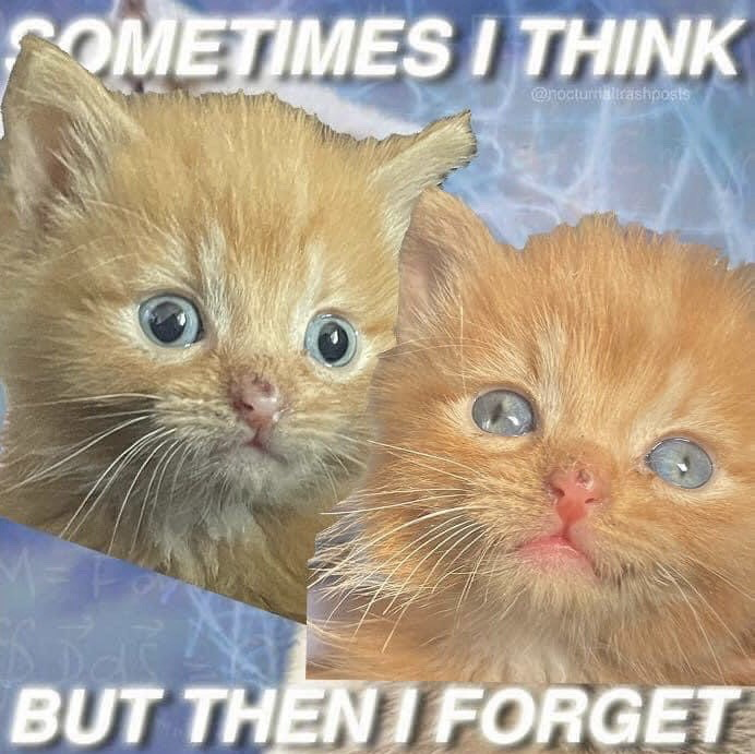 This meme features two cut-out images of orange tabby kittens with wide, blank blue eyes placed over a blue, electricity/brain-themed background that evokes a sense of mental activity or thought processing. The text at the top of the image reads "SOMETIMES I THINK" and the text at the bottom reads "BUT THEN I FORGET". The joke centers on the common relatable experience of having a thought cross one's mind only for it to immediately slip away, with the vacant, dazed expression of the kittens representing the empty mental state after forgetting the thought.