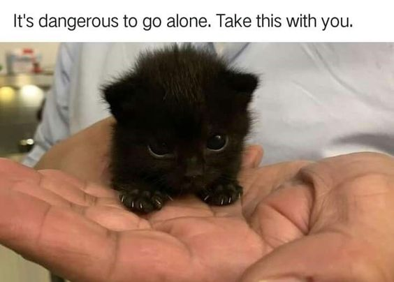 This meme pairs the iconic quote from *The Legend of Zelda*: "It's dangerous to go alone. Take this with you." with a photograph of an extremely small, fluffy black kitten sitting gently in a person's cupped hands. The humor and wholesomeness come from subverting the original game context—where the line accompanies a useful weapon/tool for the player—by offering an adorable, fragile kitten instead. The kitten has large, round, curious eyes and is small enough to fit entirely within the person's palms, emphasizing its tiny size and cuteness. The image creates a warm, funny contrast between the serious, adventure-focused quote and the helpless, cute animal.