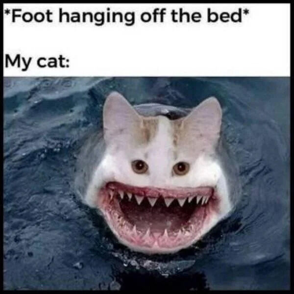 A meme depicting a humorous scenario where a person's foot hangs off the bed, with their cat reacting dramatically. The top text reads '*Foot hanging off the bed*' followed by 'My cat:' below. The image shows a digitally edited hybrid creature: a cat's head with wide, alert eyes merged with a shark's large, open mouth full of sharp teeth, emerging from dark, rippling water. This edit playfully exaggerates the cat's reaction to the hanging foot as a dramatic, shark-like 'attack,' blending cuteness with absurdity for comedic effect.