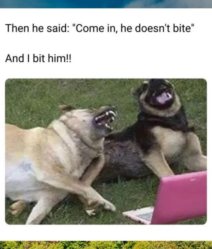 A meme composed of two sections: upper text and a lower image. The upper text reads: 'Then he said: "Come in, he doesn't bite" And I bit him!!' Below the text is a photograph of two dogs lying on green grass. The left dog (light-colored) has its mouth open, displaying sharp teeth in an aggressive or playful snarl, while the right dog (darker-colored) also has its mouth open with its tongue visible, appearing excited. A pink laptop is positioned in the foreground near the dogs. The humor stems from a pun: the phrase 'he doesn't bite' is typically intended to reassure someone that a dog (the implied 'he') is not dangerous, but the speaker misinterprets it and playfully 'bites him' (the person who spoke), creating a silly twist.