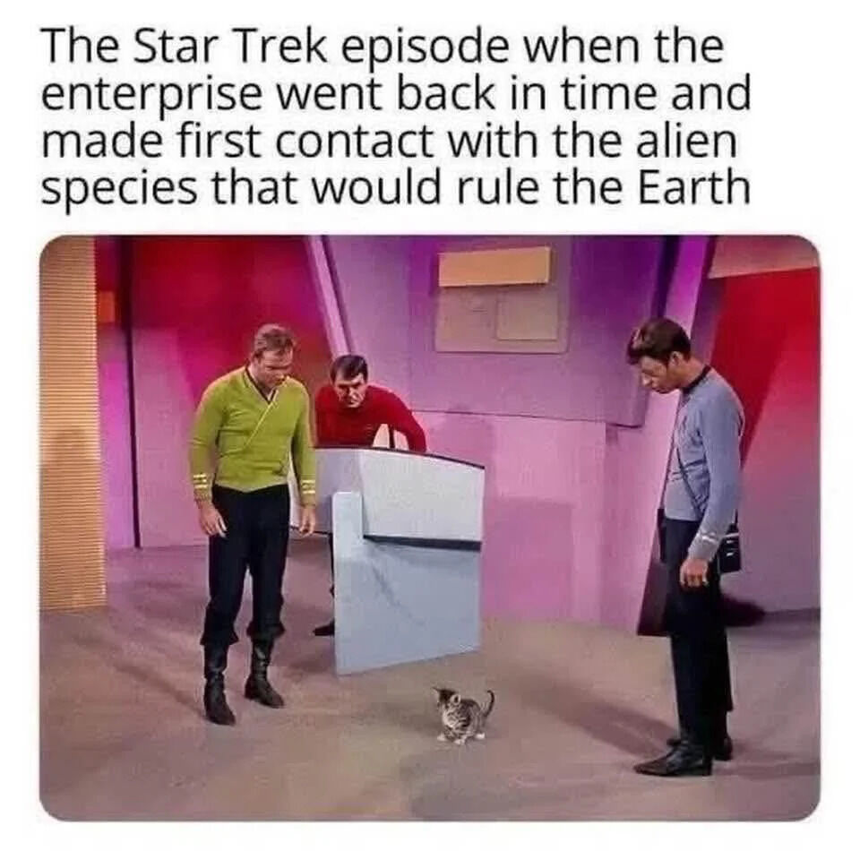 This meme parodies the iconic 'first contact' trope from the *Star Trek* franchise. The top caption reads: 'The Star Trek episode when the enterprise went back in time and made first contact with the alien species that would rule the Earth'. The image below is a screenshot from *Star Trek: The Original Series*, showing Captain James T. Kirk, Dr. Leonard McCoy, and a redshirt crew member looking down at a small tabby kitten. The joke satirizes the grand sci-fi concept of first contact by framing domestic cats as the 'alien species' that have come to 'rule' human households, playing on the popular internet joke that cats are dominant, beloved pets in many homes. The humor comes from recontextualizing a serious sci-fi scene with a mundane, relatable animal.