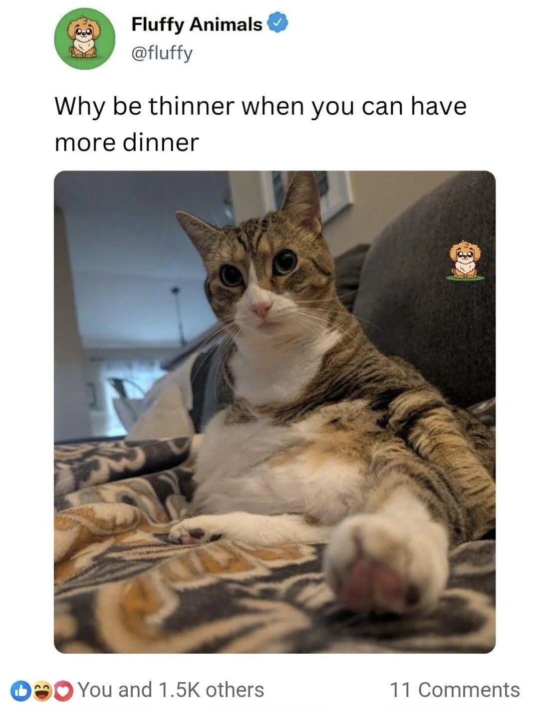A social media post from the verified account 'Fluffy Animals' (@fluffy) featuring a chubby tabby cat. The post includes the text 'Why be thinner when you can have more dinner' positioned above a photograph of the cat. The cat is lying on a gray couch with a patterned blanket, displaying a relaxed posture with its belly exposed and large, round eyes looking directly at the camera. A small watermark of the account's cartoon dog logo is visible in the bottom right corner of the cat photo. The overall tone is playful and humorous, contrasting the idea of dieting with the appeal of enjoying more food, embodied by the contented-looking cat.