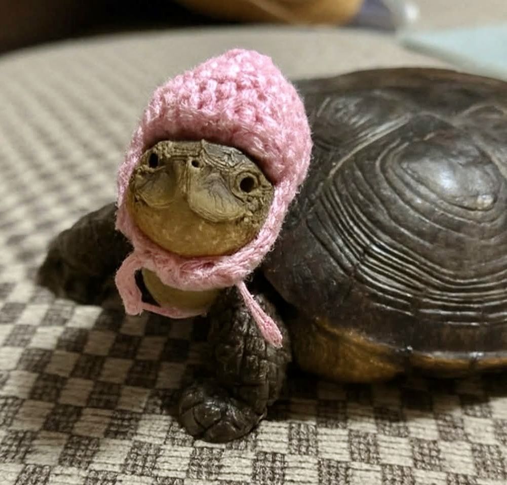 The image features a real pet turtle resting on a grey and white checkered woven fabric surface, likely a couch or table cover. The turtle is outfitted with a miniature hand-crocheted pink knit hat that sits on top of its head, with small tie strings fastened under its chin. The turtle's mouth has a natural upward curve that makes it look like it is smiling contentedly directly at the camera, with its dark patterned shell and scaly front legs visible. No text appears anywhere on the image, it is a purely visual cute animal photo.