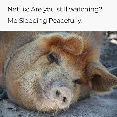 This meme humorously depicts a relatable streaming service experience: when Netflix displays its standard 'Are you still watching?' auto-play prompt, only to find the user has fallen asleep mid-show. The top text presents Netflix's question, followed by the label 'Me Sleeping Peacefully:' paired with a photograph of a contented, sleepy pig lying on the ground with half-closed eyes. It’s a wholesome, funny take on a common everyday moment that resonates with anyone who has drifted off while watching a show on a streaming platform.