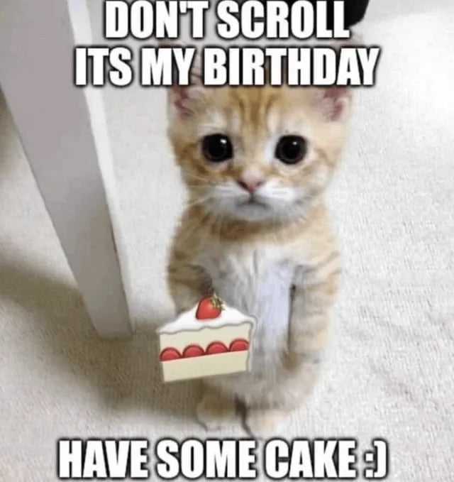 This is a wholesome single-image meme featuring a small ginger tabby kitten with exaggeratedly large, dark, pleading eyes standing upright on a light beige carpet next to a white piece of furniture. An illustrated slice of strawberry shortcake with white frosting, a whole strawberry on top, and red filling layers is edited to look like the kitten is holding it out to the viewer. Bold white text with black outlines is placed at the top and bottom of the image: the top text reads 'DON'T SCROLL ITS MY BIRTHDAY', while the bottom text reads 'HAVE SOME CAKE :)'. The meme uses the kitten's endearing, pleading expression to catch the viewer's attention, stop them from scrolling past, and offer a virtual slice of cake in celebration of the kitten's purported birthday.