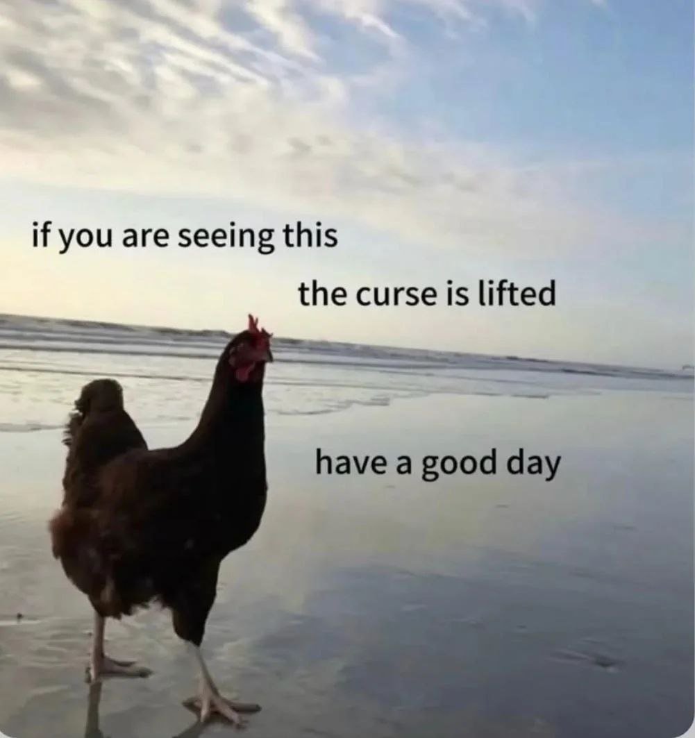 A photograph of a brown chicken with a red comb standing on a wet beach at either sunrise or sunset. The chicken is facing to the right with the ocean waves visible in the background and a sky with scattered clouds. Overlaid text on the image reads: 'if you are seeing this the curse is lifted have a good day' in black font, positioned above the chicken.