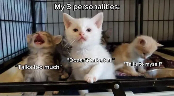 This relatable meme uses three real kittens sitting in a pet crate to illustrate three common conflicting personality traits the creator has around talking to other people. The top of the image has the header text 'My 3 personalities:'. The left brown tabby kitten is yawning widely with its mouth fully open, and is labeled 'Talks too much'. The center white kitten stares directly at the camera with a closed mouth in a quiet posture, labeled 'Doesn't talk at all'. The right cream-colored kitten sits with its head bowed down ignoring the surroundings, labeled 'Talks to myself'. The meme jokes about the common experience of shifting between these three social modes, which many introverted people find relatable.