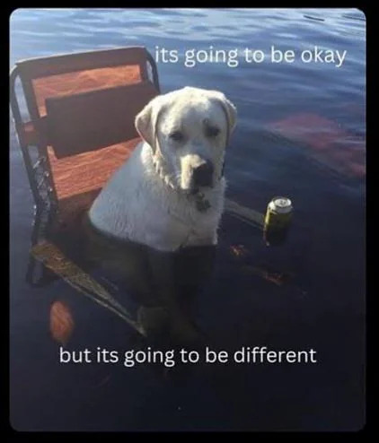 This meme features a photograph of a pale yellow Labrador retriever sitting partially submerged in calm, shallow water. Beside the dog is a wooden folding chair that is also half under water, and a canned beverage floats nearby in the water. The dog has a gentle, slightly resigned expression. White text overlays are placed at the top and bottom of the image: the top text reads 'its going to be okay' and the bottom text reads 'but its going to be different', delivering a bittersweet, comforting message about navigating change and life transitions.