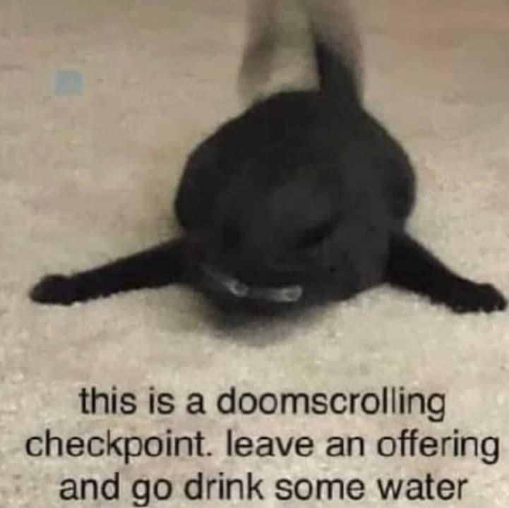 The image shows a blurry black cat lying fully sprawled on a light beige carpet, with its two front paws outstretched horizontally to either side and its head facing down toward the ground, appearing completely relaxed. Text printed below the cat reads "this is a doomscrolling checkpoint. leave an offering and go drink some water", which is a lighthearted, friendly reminder for internet users who are endlessly scrolling through distressing or overwhelming online content to pause, step away from their screen, and hydrate as an act of self-care.