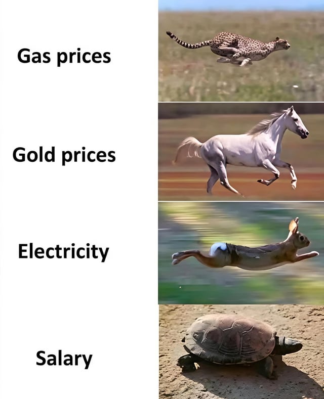 A vertical comparison meme with two columns. The left column contains four text labels in black font: 'Gas prices', 'Gold prices', 'Electricity', and 'Salary' (top to bottom). The right column features corresponding animal images: a cheetah (fastest land animal) for gas prices, a galloping horse for gold prices, a leaping hare for electricity, and a slow-moving turtle for salary. The meme uses animal speed as a metaphor to humorously criticize the rapid increase of essential living costs compared to the stagnant growth of salaries.