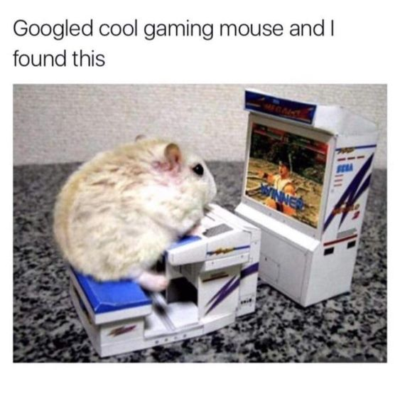 The image depicts a small, light-colored hamster perched on a tiny, toy-like gaming setup that resembles a computer mouse and an adjacent arcade machine. The arcade machine features a screen displaying a game character labeled 'RUNNER' with vibrant graphics. Above the photograph, a text overlay reads: 'Googled cool gaming mouse and I found this'. The humor lies in the pun on 'mouse'—the search for a computer gaming mouse (input device) leading to a literal mouse (the rodent) interacting with a miniature gaming setup, creating a charming and lighthearted scene. The hamster appears calm and engaged, enhancing the wholesome tone.