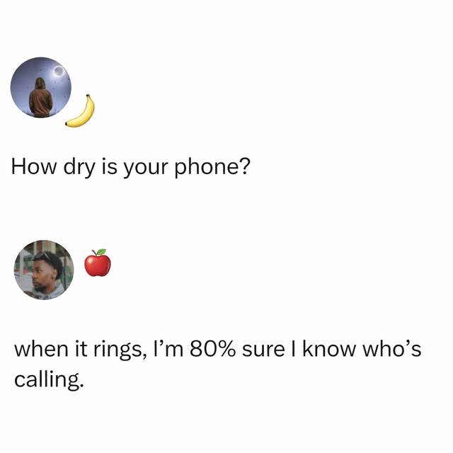 This is a text-based conversational meme showing a chat between two users. The first user asks the question "How dry is your phone?", playing on internet slang where "dry" for a phone means it receives very few calls or notifications (rather than referring to a phone dried after getting wet). The second user replies with the punchline "when it rings, I’m 80% sure I know who’s calling." The joke highlights that the phone is so inactive / dry that the owner can almost always predict who is calling when it rings, which is a relatable gag for people who rarely receive unexpected calls or messages. Each user has a circular profile avatar, with a banana emoji next to the first user and an apple emoji next to the second.