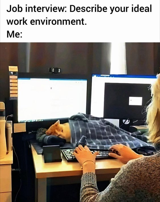 This is a relatable workplace meme that plays on the contrast between formal job interview expectations and personal desires. The top text poses a common interview question: "Job interview: Describe your ideal work environment." Below it, the label "Me:" introduces an image of a person typing at a dual-monitor desk, where a cat is curled up under a plaid blanket, nestled between the keyboard and monitors. The humor stems from subverting the typical professional answer (e.g., collaborative, well-equipped office space) with a warm, cozy, pet-friendly workspace that many people secretly crave. It taps into the universal love for cats and the desire for a relaxed, comforting work setting instead of a rigid, formal environment.
