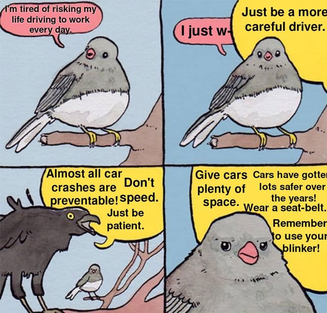 A four-panel comic strip featuring two bird characters. Panel 1: A gray bird with a white belly perches on a tree branch, saying, 'I'm tired of risking my life driving to work every day.' Panel 2: The same gray bird begins, 'I just w-', interrupted by a yellow speech bubble stating, 'Just be a more careful driver.' Panel 3: A black raven-like bird perches sternly, arguing, 'Almost all car crashes are preventable! Speed. Don't Just be patient.' Panel 4: The gray bird (now larger) lists defensive driving tips: 'Give cars plenty of space. Cars have gotten lots safer over the years! Wear a seat-belt. Remember to use your blinker!' The comic critiques the overemphasis on individual driver caution instead of addressing systemic issues like inadequate public transport.