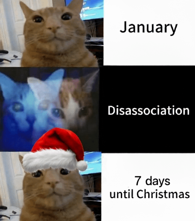 A three-panel meme featuring a cat in different contexts. The top panel shows a cat with the text 'January'. The middle panel shows multiple cats with a blue tint and the text 'Disassociation'. The bottom panel shows the same cat wearing a Santa hat with the text '7 days until Christmas'. The meme humorously depicts the emotional transition from Christmas anticipation to post-holiday disassociation in January.