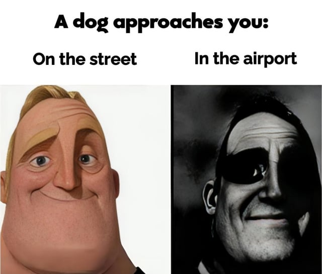 A two-panel meme comparing reactions to a dog approaching in different settings. The top text reads 'A dog approaches you:' with 'On the street' above the left panel and 'In the airport' above the right panel. The left panel features an animated character with a cheerful, wide-eyed smile, while the right panel shows a black-and-white image of a real person with a serious, intense expression and a subtle smirk. The humor lies in the stark contrast between the relaxed, happy reaction to a street dog versus the more guarded or suspicious reaction to an airport dog.