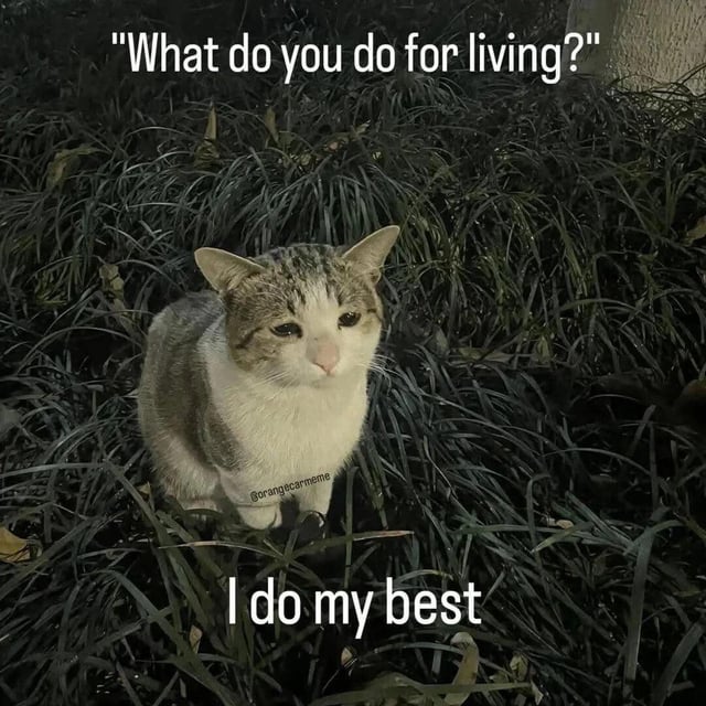 A photograph of a tabby and white cat sitting in dense, dark green grass. The cat has a calm, slightly weary expression with half-lidded eyes. At the top of the image, white text reads 'What do you do for living?' and at the bottom, white text reads 'I do my best', creating a humorous and relatable dialogue where the cat anthropomorphically responds to a common question about livelihood with a simple, earnest answer. A watermark 'georgiagermeme' is visible near the cat's lower body.