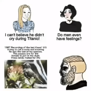 This is a four-panel comedy meme that subverts common gender stereotypes about emotional expression. The top two panels show two women expressing confusion and judgment: the blonde woman says she can't believe a man didn't cry while watching the romantic drama Titanic, and the dark-haired woman follows up asking if men even have feelings. The bottom left panel features a photo of the now-extinct Kaua'i 'ō'ō bird, paired with text explaining that a 1987 recording captured the last known member of the species calling out for a mate, unaware he was the last of his kind; the pauses in his call were intended for a female to join his duet, as the species mated for life. The bottom right panel shows a bearded man looking visibly distraught and teary-eyed, revealing he is deeply upset by the story of the extinct bird, rather than the plot of Titanic. The joke lies in the contrast between what the women assume will move men emotionally, versus the niche, somber ecological tragedy that actually elicits a strong emotional reaction from the man.