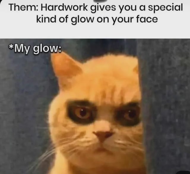 The meme opens with text stating the common saying: 'Them: Hardwork gives you a special kind of glow on your face'. It then cuts to text labeling the creator's version of this 'glow', paired with a photo of an orange cat with extremely prominent, dark under-eye bags, looking exhausted and deadpan as it peeks from behind a vertical surface. The humor comes from the sarcastic contrast: the expected 'glow' people refer to is a healthy, radiant look from being productive, while the actual 'glow' of overwork is tired, heavy dark circles from burnout, which is the opposite of the positive connotation of the phrase.