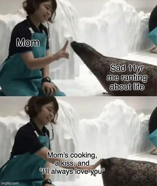 This is a two-panel wholesome meme that uses a viral aquarium seal trainer interaction as a visual metaphor for maternal care. The top panel shows a trainer labeled "Mom" holding up a finger to a seal labeled "Sad 11yr me ranting about life", representing a young teen venting their frustrations to their mother. The bottom panel depicts the trainer reaching out to the seal, with accompanying text: "Mom's cooking, a kiss, and 'I'll always love you'" — illustrating the warm, comforting response that soothes the upset child. The meme plays on the relatable experience of seeking and receiving parental comfort during moments of adolescent distress, using the gentle animal interaction to amplify the wholesome, emotional tone.