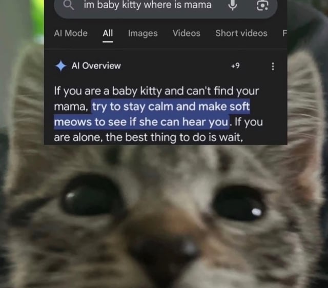 This meme combines a close-up photograph of a sad, teary-eyed tabby kitten with a screenshot of an AI search result. At the top of the screenshot, the search query reads: "im baby kitty where is mama". Below it, the AI provides a sincere, gentle response: "If you are a baby kitty and can't find your mama, try to stay calm and make soft meows to see if she can hear you. If you are alone, the best thing to do is wait." The humor and charm come from anthropomorphizing the kitten—framing it as the one typing the search query—paired with the AI treating the request as a genuine, earnest question from a lost young animal. The contrast between the kitten's distressed, helpless expression and the practical, caring advice creates a wholesome, endearing, and lightly funny effect.