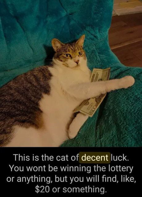 The meme shows a relaxed white and brown tabby cat lying on a plush teal blanket, with a US dollar bill tucked under one front paw, looking at the viewer with a neutral deadpan expression. Text below the photo states the cat grants only decent luck: viewers won't win the lottery, but can expect to find a small amount of money like $20. The humor comes from subverting exaggerated good luck charm tropes to offer realistic, modest positive fortune that feels relatable to people navigating tough financial circumstances.