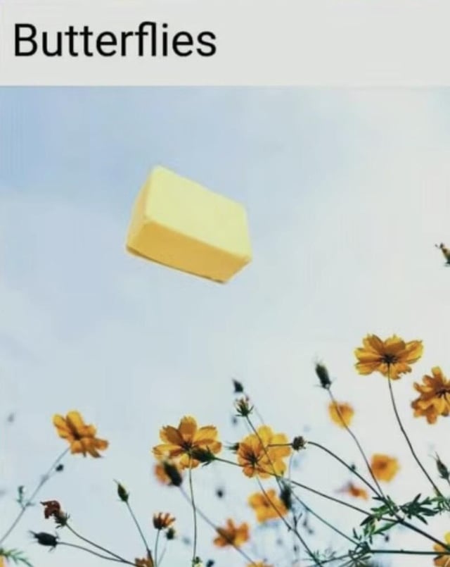 This is a simple visual pun meme. The top of the image has the word 'Butterflies' written in bold black text. Below the text, a rectangular stick of yellow butter is shown floating or flying against a pale, light blue sky, with yellow wildflowers visible in the lower portion of the frame, viewed from a low angle looking upward. The joke comes from the literal interpretation of the word 'butterflies' split into 'butter' and 'flies', meaning the butter is literally flying, rather than referring to the insect.