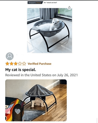 A screenshot of a verified purchase product review featuring two images of a cat and a pet bed. The top image shows the cat lying normally in the gray, metal-framed pet bed. The bottom image shows the same cat using the bed as a makeshift tent, with its head and front paws inside, making the bed appear like a small roof over it. The review text reads 'My Cat Is Special' and is marked as 'Verified Purchase' reviewed in the United States on July 26, 2021. The humor comes from the cat's unexpected and creative use of the pet bed, contrasting with the intended use shown in the top image.