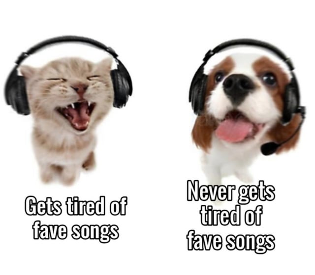 The meme features a side-by-side comparison of two animals wearing black headphones against a plain white background. On the left, a light-colored cat with its mouth open, showing teeth, appears to be yelling or expressing frustration, accompanied by the text 'Gets tired of fave songs'. On the right, a brown and white dog with its tongue out, looking happy and excited, is labeled 'Never gets tired of fave songs'. The visual joke contrasts two common types of music listeners: those who quickly grow bored of their favorite songs versus those who can listen to them repeatedly without fatigue, using animal expressions to emphasize their differing reactions.