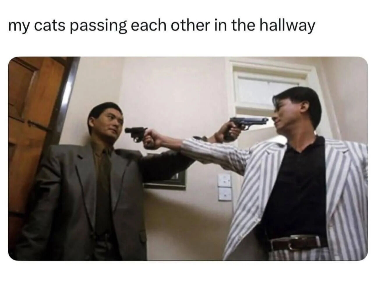 A meme consisting of a screenshot from a Hong Kong action movie scene where two men in suits stand in a narrow hallway, each pointing a handgun directly at the other's face in an intense, confrontational standoff. Above the image, there is a text overlay that reads 'my cats passing each other in the hallway,' creating a humorous juxtaposition between the dramatic, high-stakes gunfight scenario and the mundane, relatable experience of cats ignoring or barely acknowledging each other while passing in a hallway.