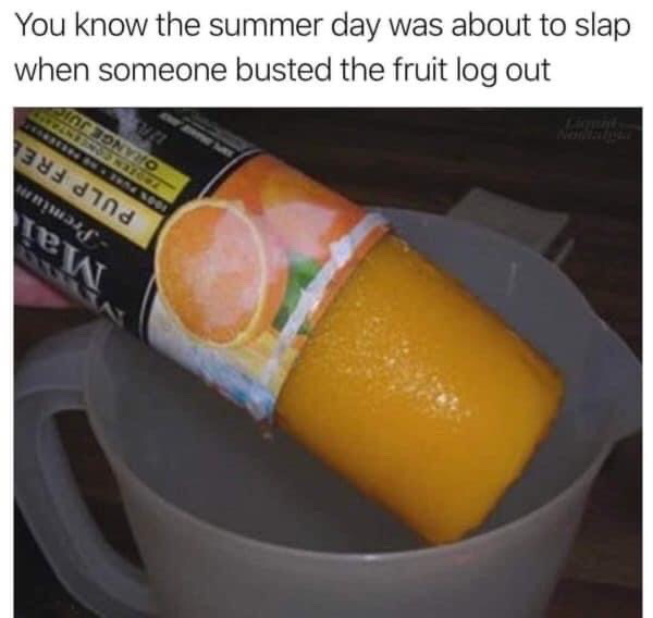 The meme has two core components: top text that reads 'You know the summer day was about to slap when someone busted the fruit log out', and a photo below showing a solid frozen cylindrical block of orange juice concentrate (referred to as the 'fruit log') being emptied out of its partially branded Minute Maid carton into a grey plastic pitcher. The slang term 'slap' is used to mean the day was going to be extremely enjoyable, referencing the common nostalgic experience of mixing frozen juice concentrate to make cold, refreshing drinks on hot summer days.
