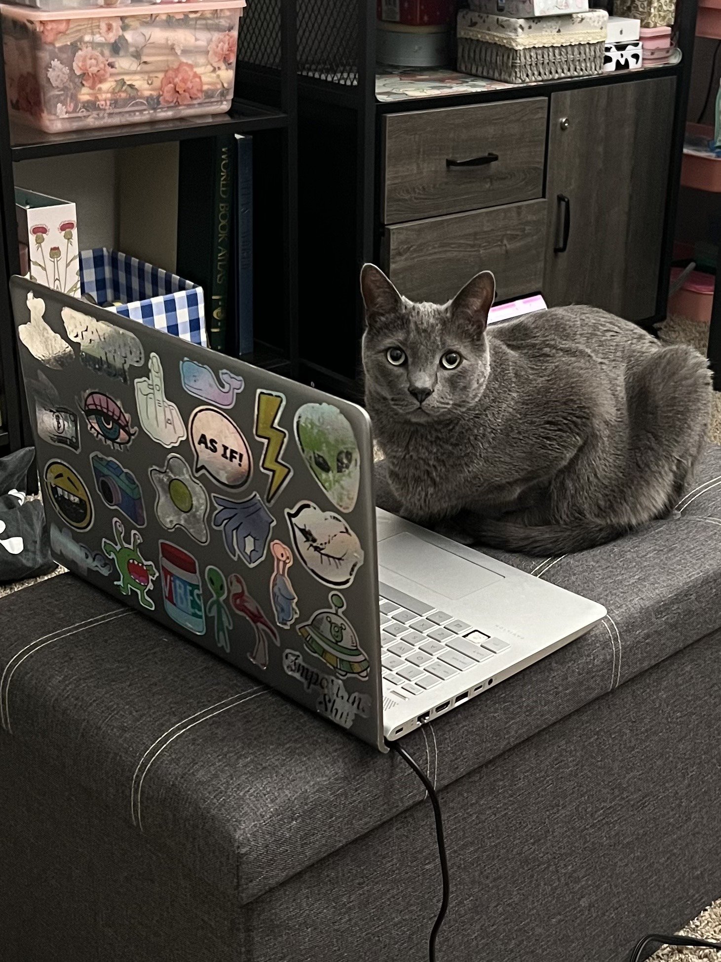 The image captures a candid home scene: a gray shorthair cat sits in a loafed position on a gray upholstered ottoman, facing the camera directly with wide, alert, curious eyes. Next to the cat is an open silver laptop, whose back lid is covered in a variety of colorful decorative stickers, including text that reads "AS IF!", cartoon eye designs, a yellow lightning bolt, alien illustrations, a fried egg graphic, a whale decal, a hand making a middle finger gesture, and other playful designs. In the background, a black metal storage unit with wooden drawers, books, patterned storage containers, and other household items are visible.