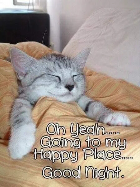 A gray tabby kitten is shown sleeping peacefully on an orange blanket. The kitten's eyes are closed, and it has a relaxed posture with its paws slightly extended. Overlaid on the image is the text: 'Oh Yeah.... Going to my Happy Place.... Good Night.' The scene conveys a sense of calm and cuteness, typical of wholesome pet content.