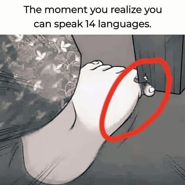 A meme featuring an animated black-and-white illustration of a foot stepping on a small bug, with the bug highlighted by a red circle. The text at the top reads 'The moment you realize you can speak 14 languages,' creating a pun between 'bug' (the insect being stepped on) and 'bug' (a programming term for an error, referencing coding languages).