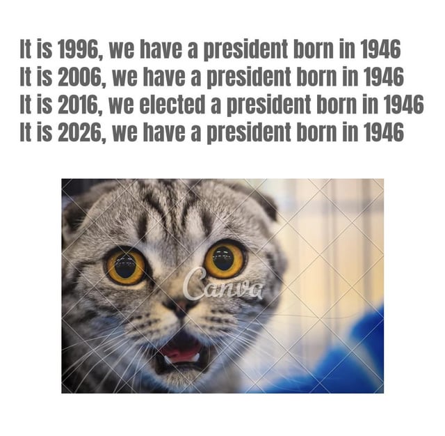 A meme consisting of two main elements: top text and a reaction image. The top text humorously points out the recurrence of U.S. presidents born in 1946 across four decades (1996, 2006, 2016, 2026), emphasizing the unusual consistency. Below the text is a close-up image of a gray tabby cat with extremely wide, round yellow eyes and a slightly open mouth, conveying a shocked or surprised reaction, which amplifies the meme's comedic tone. The image includes a 'Canva' watermark at the bottom center, indicating the tool used for creation.