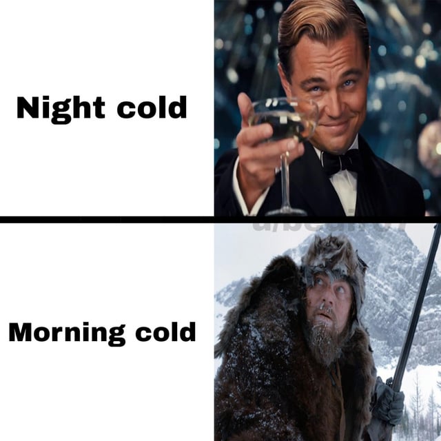 A two-panel comparison meme contrasting 'Night cold' and 'Morning cold' using images of Leonardo DiCaprio from different films. The top panel features left text 'Night cold' paired with a right image of DiCaprio in a black tuxedo, holding a champagne glass, smiling confidently (likely from 'The Great Gatsby'). The bottom panel has left text 'Morning cold' with a right image of DiCaprio in a rugged fur coat, covered in snow, looking cold and weary (from 'The Revenant'). The meme humorously juxtaposes the glamorous perception of night cold versus the harsh reality of morning cold through DiCaprio's contrasting roles.