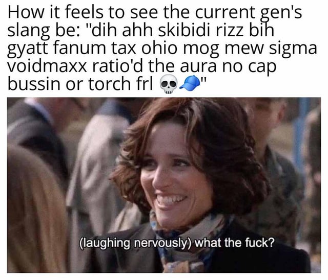 The meme is split into two sections: the top section contains text listing a dense, nonsensical string of popular contemporary Gen Z and internet slang terms including skibidi, rizz, gyatt, fanum tax, sigma, ratio'd, no cap, bussin, among others, followed by a skull emoji and blue baseball cap emoji, framed as the experience of encountering current generation slang. The bottom section is a reaction screenshot of actress Julia Louis-Dreyfus as Selina Meyer from the TV show Veep, who is laughing nervously with the subtitle '(laughing nervously) what the fuck?', perfectly capturing the feeling of being completely disoriented and unable to understand the overwhelming amount of new, unfamiliar slang used by younger people online.