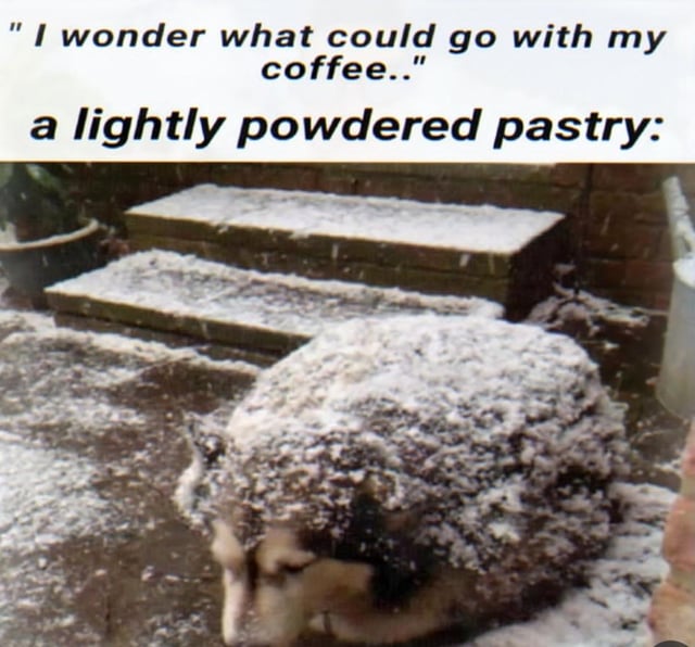 This is a single-panel comedy meme. The top of the image has two lines of text: the first line presents a person's casual thought, "I wonder what could go with my coffee..", and the second line introduces the supposed subject "a lightly powdered pastry:". Below the text is a real photograph of an outdoor winter scene, where a dog is sitting completely covered in a thin, even layer of white snow. The snow dusting on the dog's fur strongly resembles powdered sugar sprinkled on a baked pastry, creating the core joke of the visual pun: the snow-covered dog is being framed as the perfect powdered pastry snack to pair with coffee.