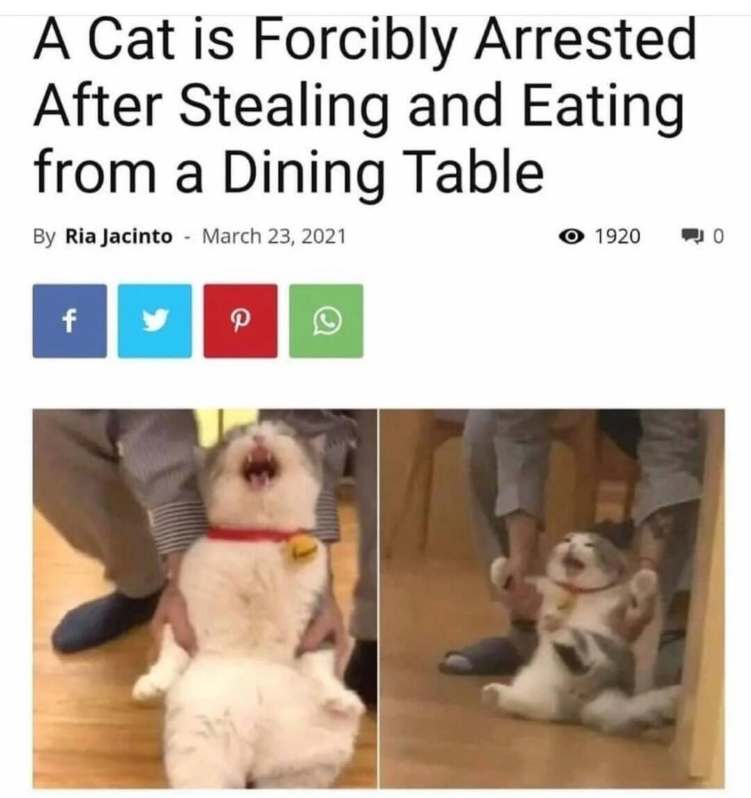 A humorous and wholesome meme formatted as a satirical news article. The top section features a bold headline: 'A Cat is Forcibly Arrested After Stealing and Eating from a Dining Table' credited to Ria Jacinto with a date of March 23, 2021. Below the headline are social media share icons (Facebook, Twitter, Pinterest, WhatsApp) and engagement metrics (1920 views, 0 comments). The lower half contains two side-by-side photographs of a real cat with a red collar and yellow bell: the left image shows the cat being held upright by a person's hands with its mouth open, appearing to 'yell' or protest; the right image shows the cat being held by the legs, mimicking an 'arrest' posture. The meme uses playful anthropomorphism to frame the cat's behavior as a comedic 'crime,' emphasizing a lighthearted and cute tone.