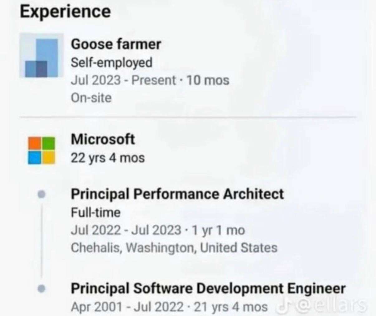 This image is a screenshot of a LinkedIn profile experience section showing a dramatic, unexpected career shift. The profile owner spent a total of 22 years working at Microsoft, starting as a Principal Software Development Engineer in April 2001, and was promoted to Principal Performance Architect in July 2022, before leaving the company entirely in July 2023. Their current role is listed as a self-employed, on-site 'Goose farmer' starting the same month they left Microsoft. The humor comes from the stark contrast between a long, high-status, high-paying senior career at one of the world's largest tech corporations, and the completely unrelated, low-key rural occupation of goose farming that they chose to switch to.