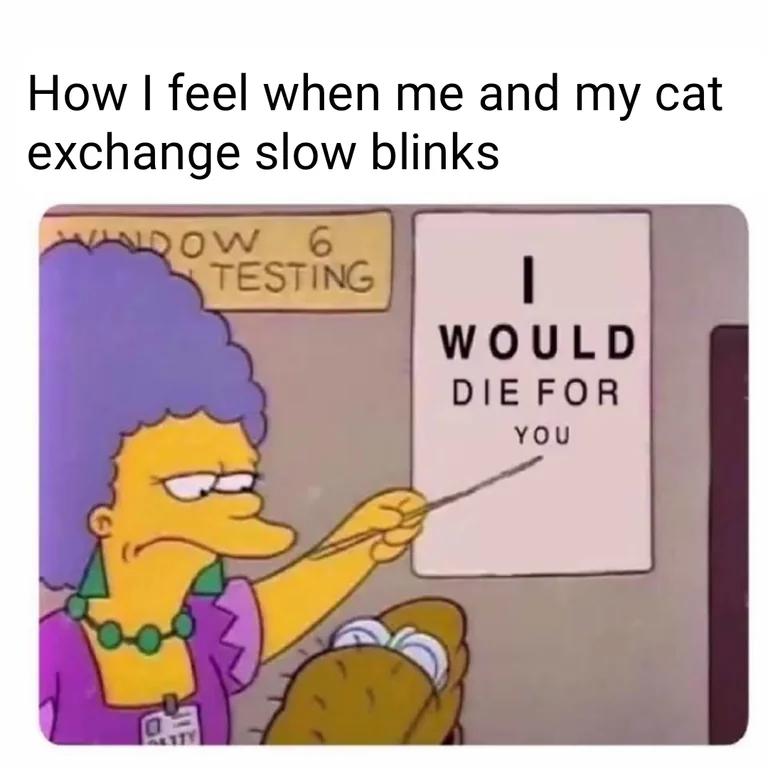 This is a wholesome meme that uses an eye test scene from *The Simpsons* to describe how a person feels when sharing a slow blink with their pet cat. Slow blinking between humans and cats is a well-known sign of mutual trust and affection. The top text reads 'How I feel when me and my cat exchange slow blinks', and the character points to an eye chart that reads 'I WOULD DIE FOR YOU', humorously exaggerating the deep affection the owner feels for their cat in this tender moment.