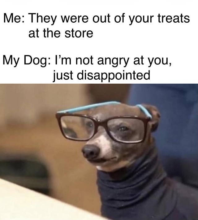 A meme composed of two sections: upper text and a lower image. The upper text contains two lines of dialogue: 'Me: They were out of your treats at the store' and 'My Dog: I'm not angry at you, just disappointed'. Below the text is a photograph of a small dog resembling a whippet, wearing large brown-framed glasses with blue temples and a dark turtleneck sweater. The dog is sitting and looking slightly to the side with a serious, unamused expression, enhancing the 'disappointed' reaction described in the text. The humor stems from the anthropomorphic portrayal of the dog's relatable human-like emotional response, amplified by its intellectual appearance (glasses and turtleneck), making the scenario funny and relatable.