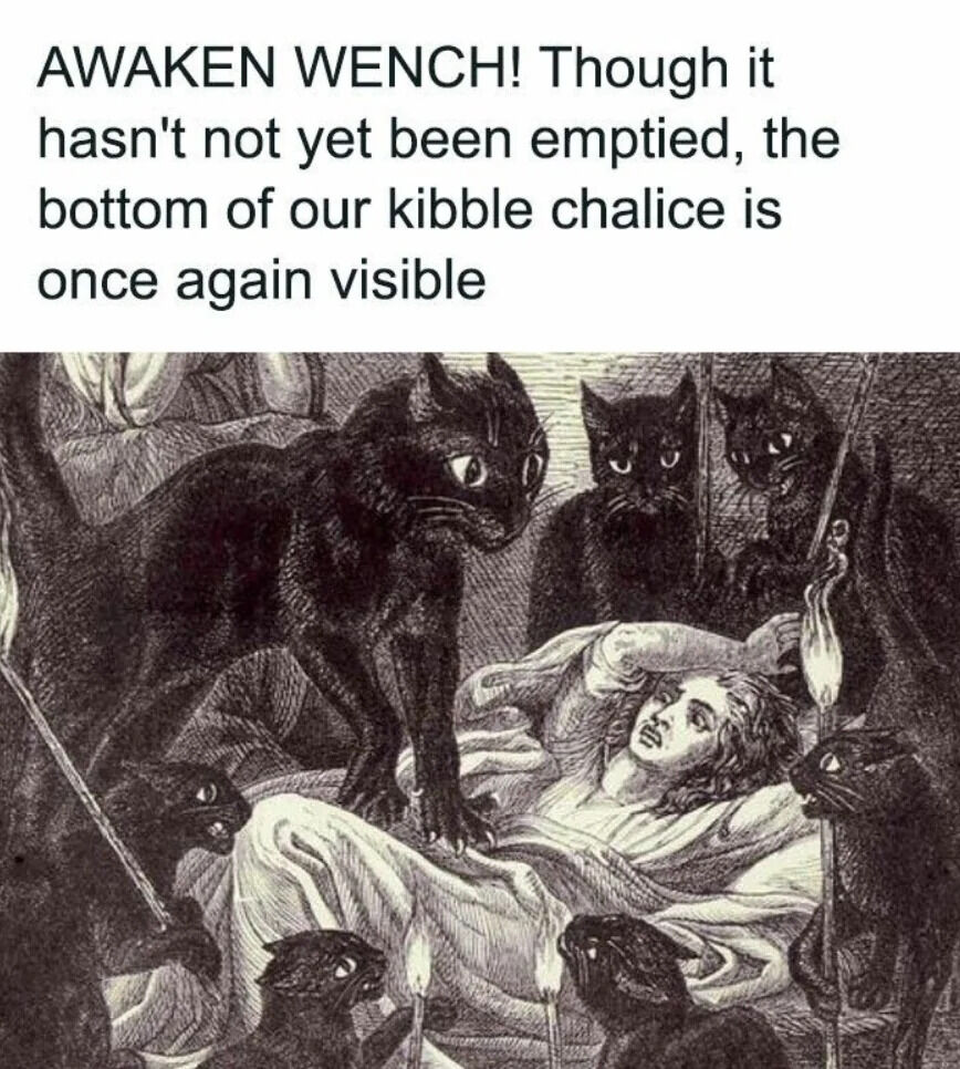 A meme combining a vintage-style black-and-white illustration with humorous text. The illustration depicts several black cats with intense expressions surrounding a person lying in bed, some holding staff-like objects. The text above the image, written in a dramatic, archaic tone, reads: 'AWAKEN WENCH! Though it hasn't not yet been emptied, the bottom of our kibble chalice is once again visible.' The cats appear to be demanding their food bowl (referred to as a 'kibble chalice') be refilled, using exaggerated formal language for comedic effect.