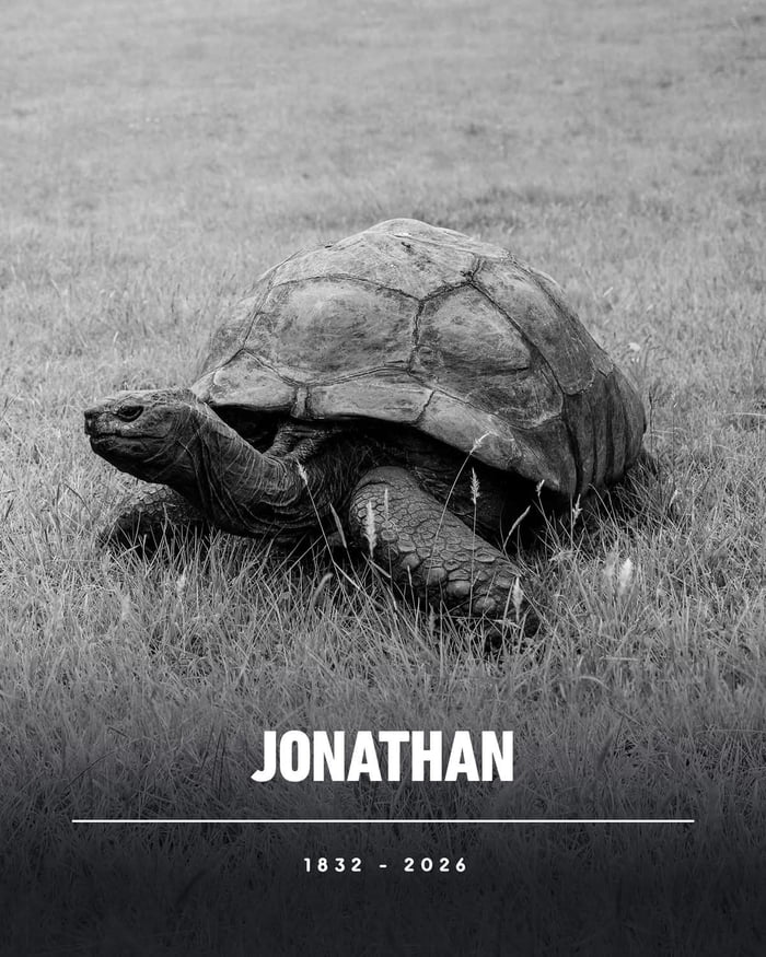 This is a somber black and white memorial graphic commemorating the passing of Jonathan, the famous Seychelles giant tortoise who was the oldest known living land animal on Earth. The image features a photograph of Jonathan crawling through tall grass, with large text at the bottom reading his name 'JONATHAN', followed by his lifespan: 1832 - 2026. The original 9Gag post title notes that this loss is felt more deeply than many other deaths, as Jonathan was a globally beloved historic animal that lived for 194 years.