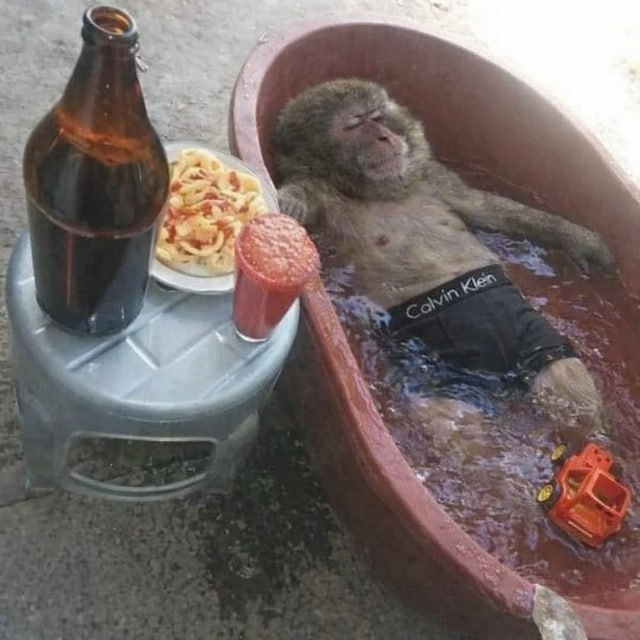 The image shows a real macaque monkey reclining comfortably in a small red plastic bathtub filled with water. The monkey wears black Calvin Klein boxer shorts, has a relaxed, half-asleep content expression, and rests its arms on the edges of the tub. Beside the tub, a small gray plastic stool holds a large brown bottle of dark beer, a plate of pasta with red sauce, and a red plastic cup full of a foamy red beverage. A small orange toy truck floats in the bathwater near the monkey's feet. The scene is humorously anthropomorphic, mimicking a human enjoying a lazy, indulgent self-care day with food and drinks while soaking.