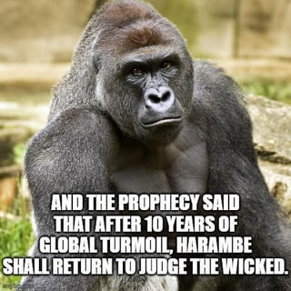 This is an image macro meme featuring a photograph of the late silverback gorilla Harambe, who has a stern, judgmental expression as he faces directly toward the viewer. Bold white text is overlaid at the bottom of the image, reading 'AND THE PROPHECY SAID THAT AFTER 10 YEARS OF GLOBAL TURMOIL, HARAMBE SHALL RETURN TO JUDGE THE WICKED.' The joke relies on the long-running, widespread internet meme culture that has revered Harambe as a semi-satirical folk figure ever since his death at the Cincinnati Zoo in 2016, humorously framing him as a divine figure that will return to hold people accountable for the chaotic state of the world a decade after his passing.